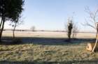 dsc_0098_small.jpg
