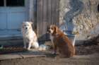 dsc_0105_small.jpg