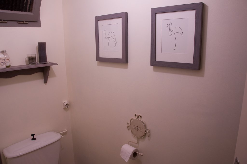 thenewlypaintedtoilet.jpg