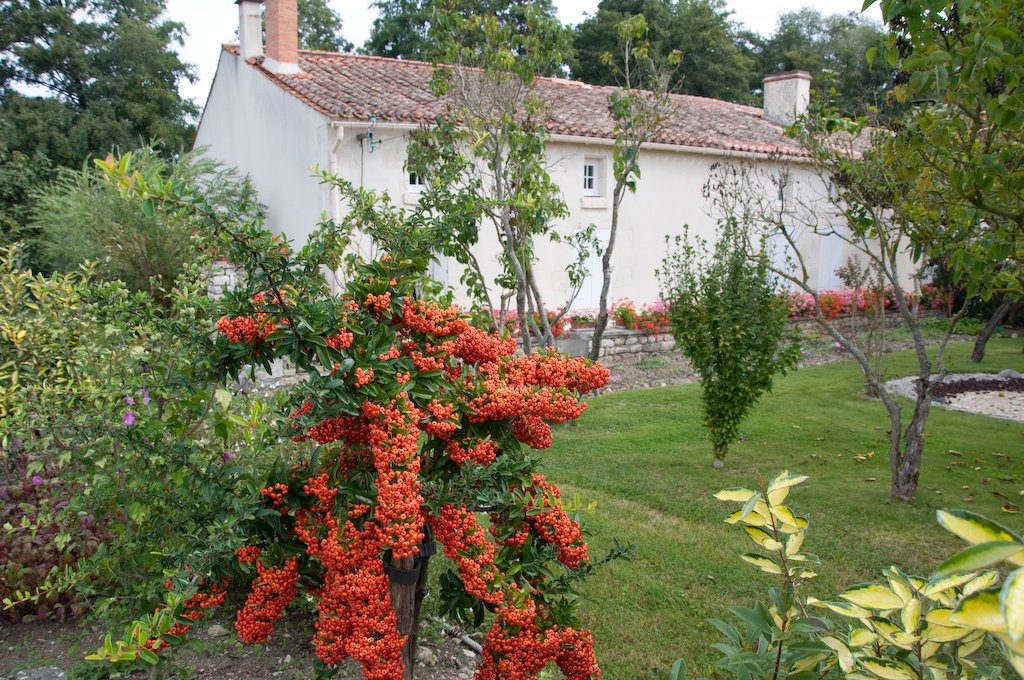 latesummercolours.jpg