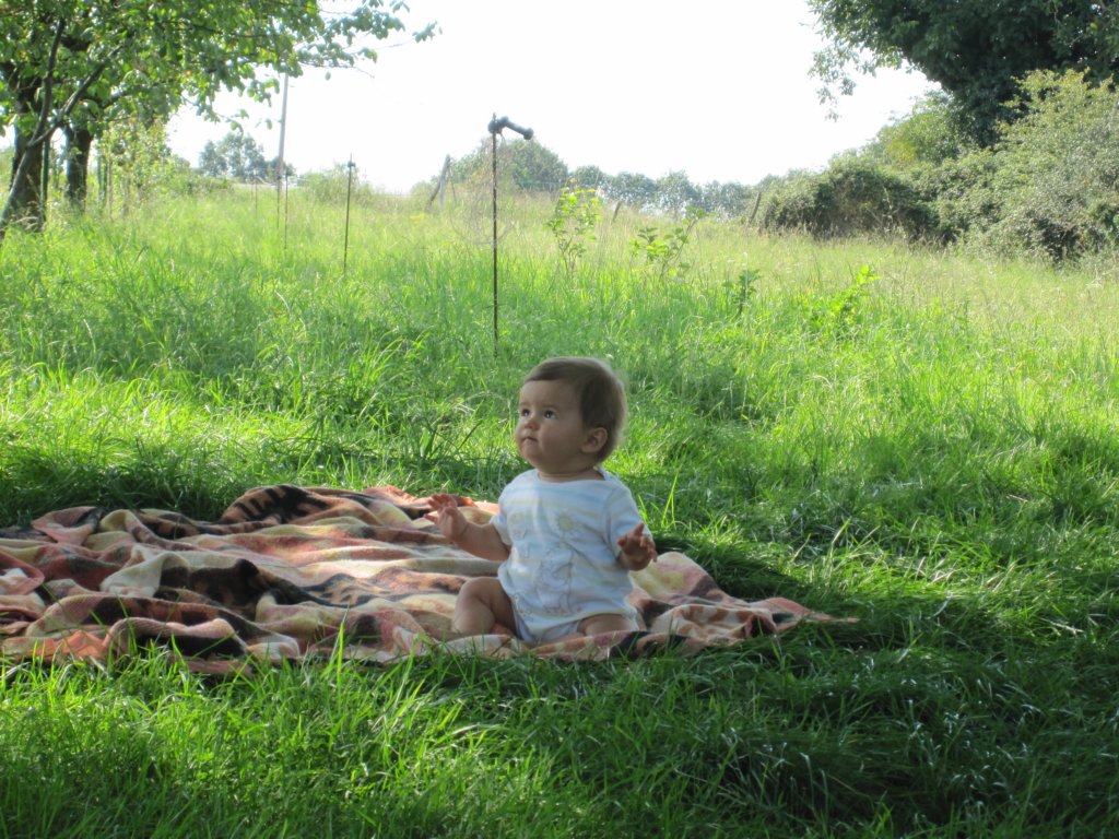sallyspicsuptoaugust20111067.jpg
