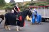 dsc_0194_small.jpg