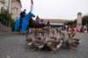 dsc_0270_small.jpg
